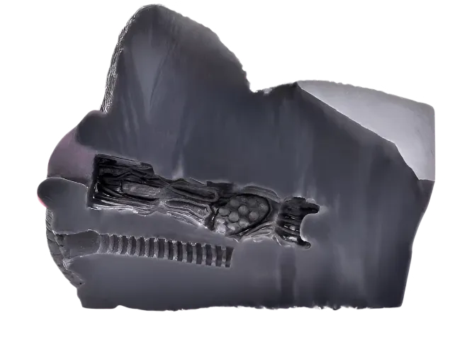 Loona the Sensual SheWolf Dlices Dfendus Dildos