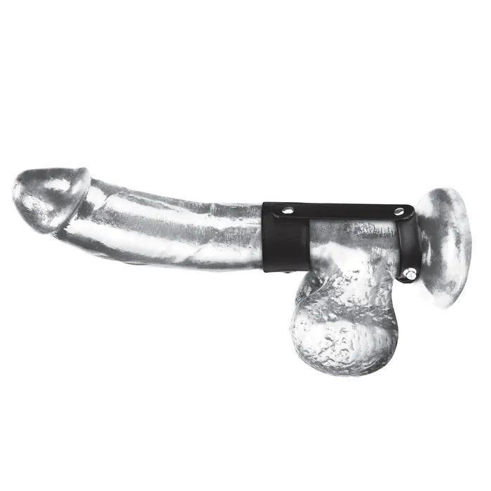 Duo Cock Ball Shaft Support Blue Line Men Male Sex Toys